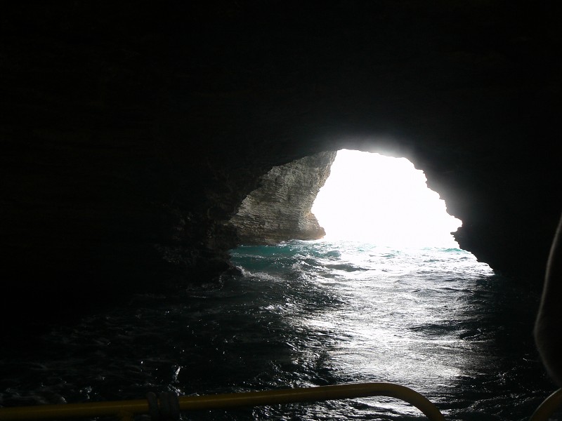 P1000327.jpg
