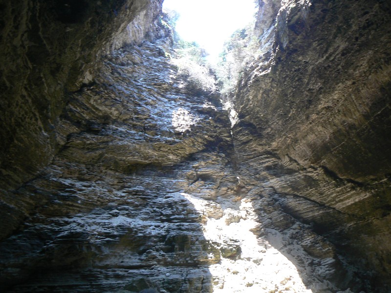 P1000328.jpg