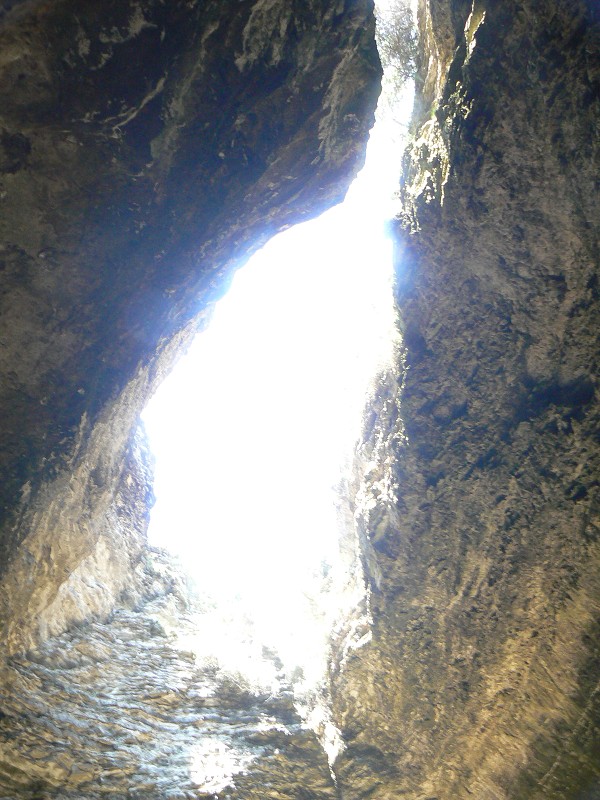 P1000331.jpg