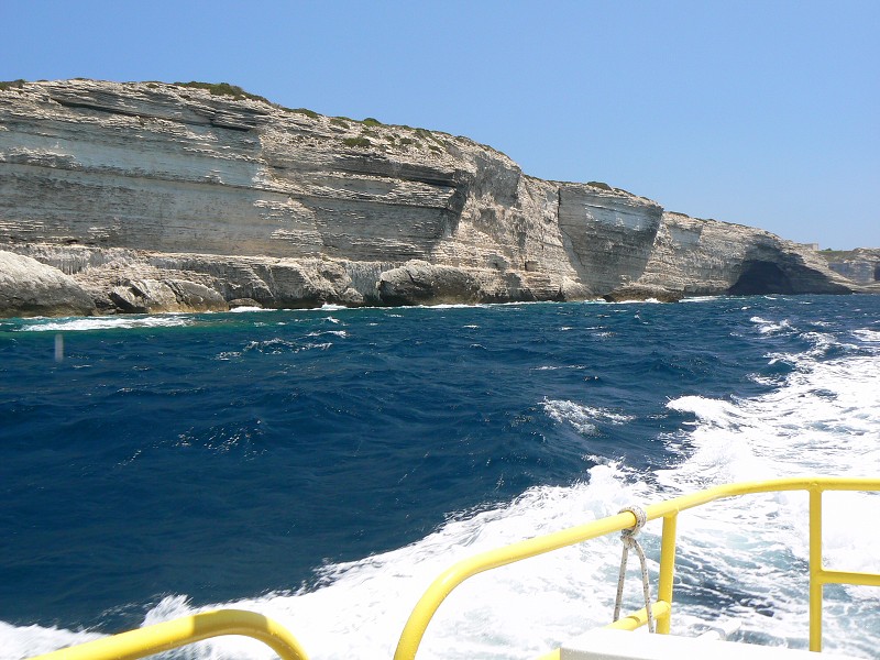 P1000339.jpg