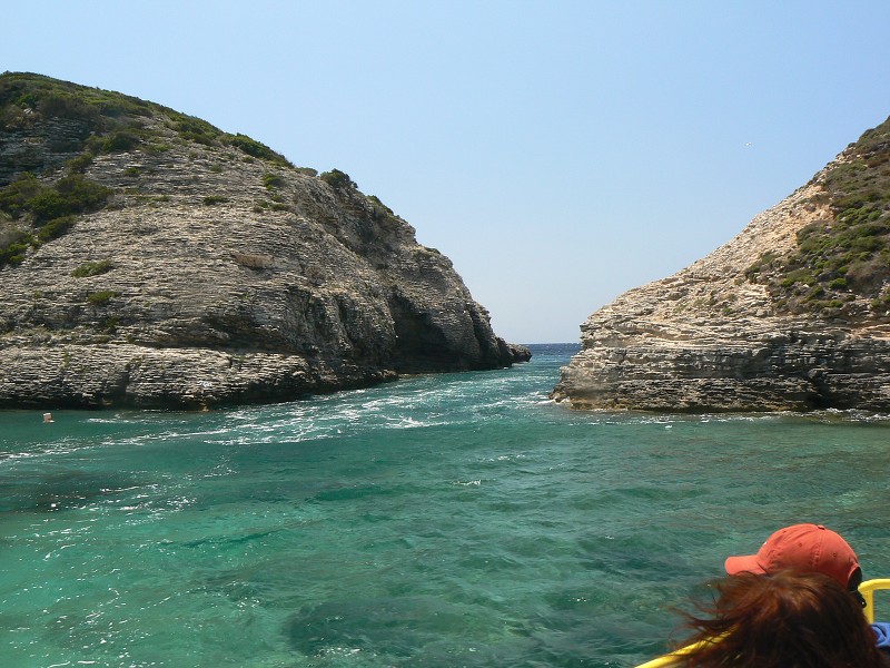 P1000343.jpg