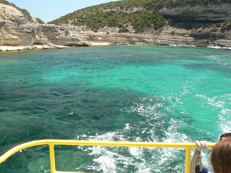 P1000344.jpg