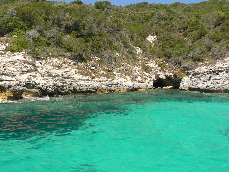 P1000347.jpg