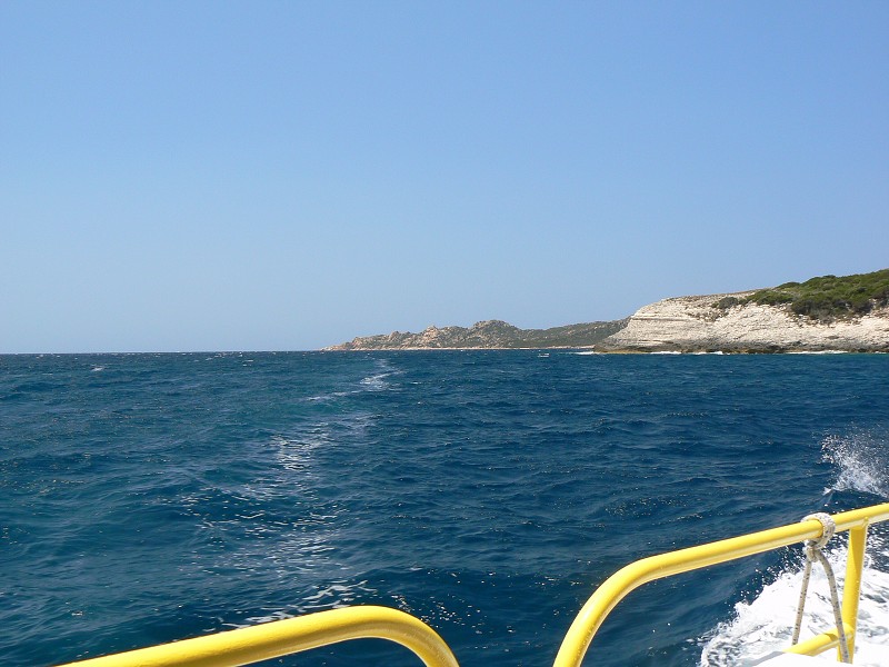 P1000348.jpg