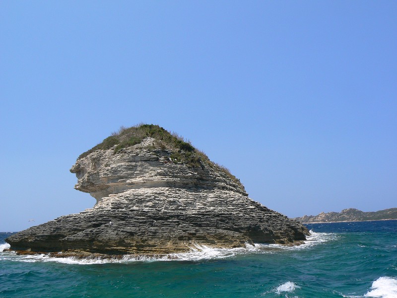 P1000350.jpg