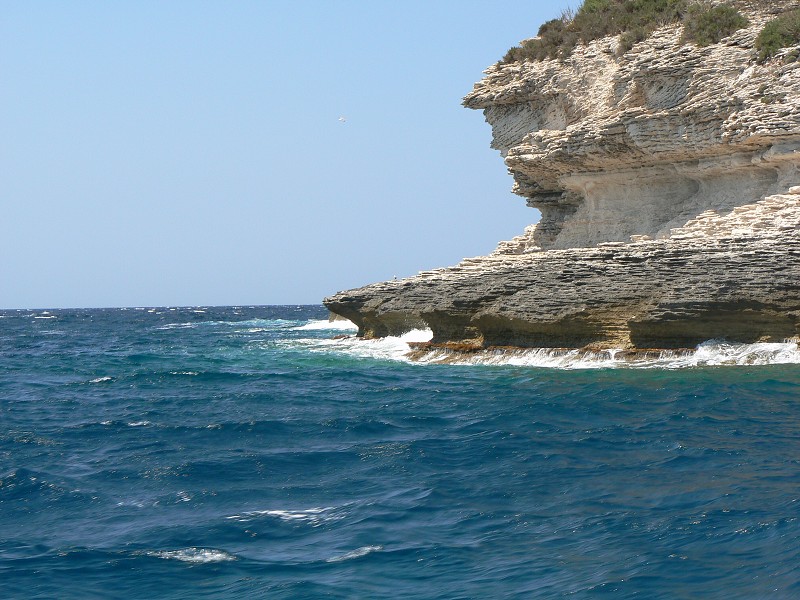 P1000351.jpg