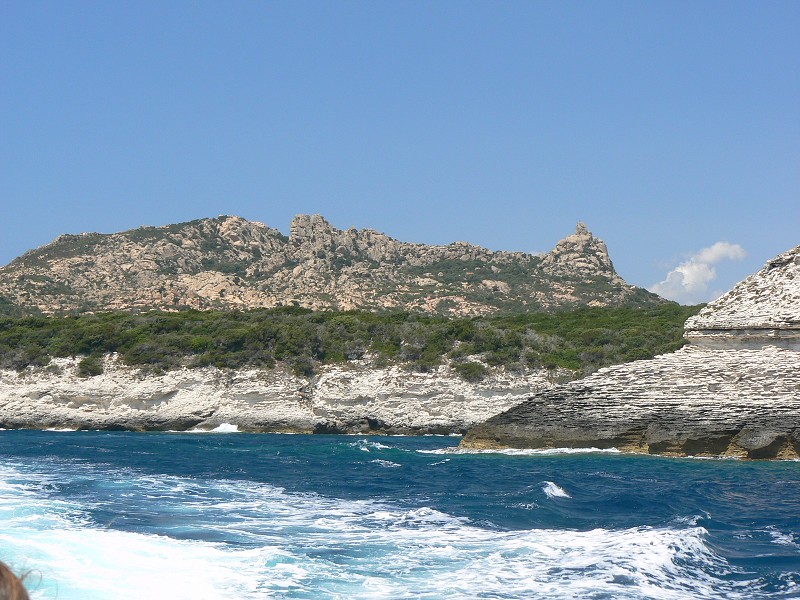 P1000352.jpg