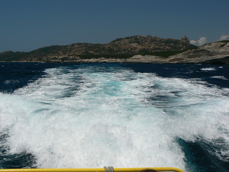 P1000356.jpg