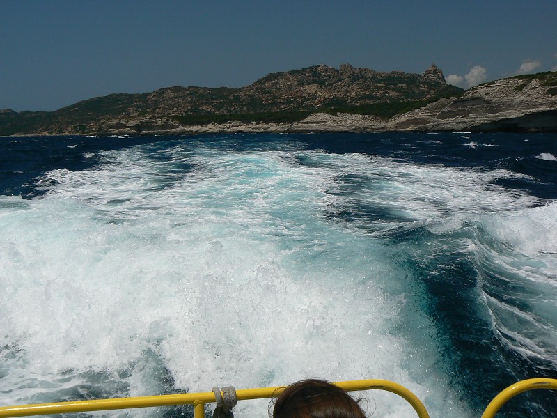 P1000359.jpg