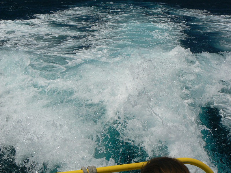 P1000363.jpg