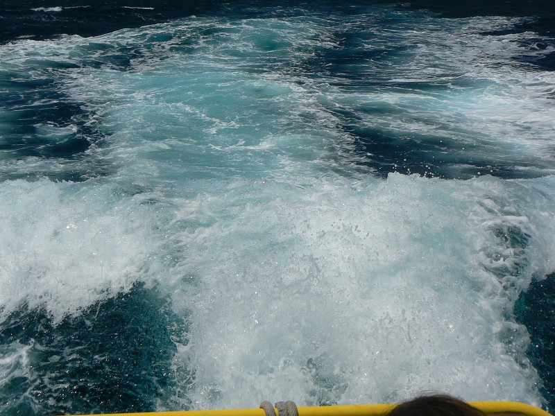 P1000365.jpg