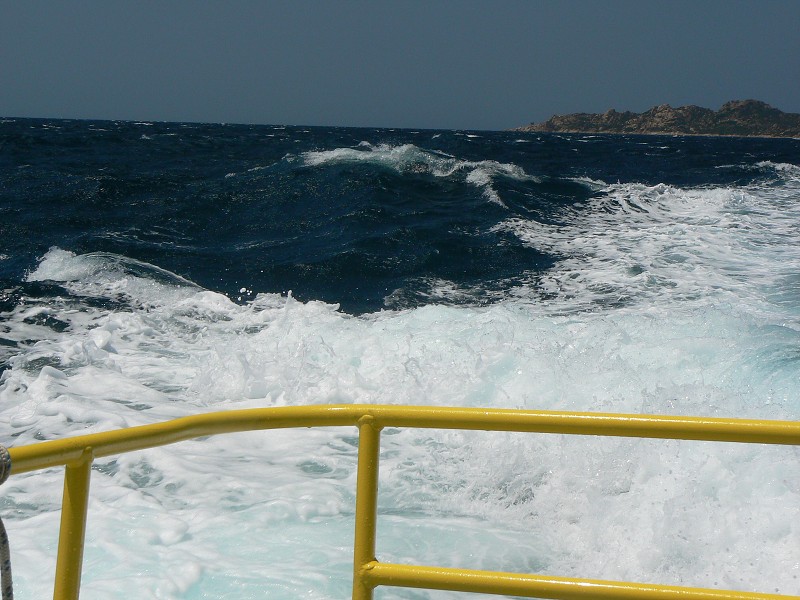 P1000371.jpg