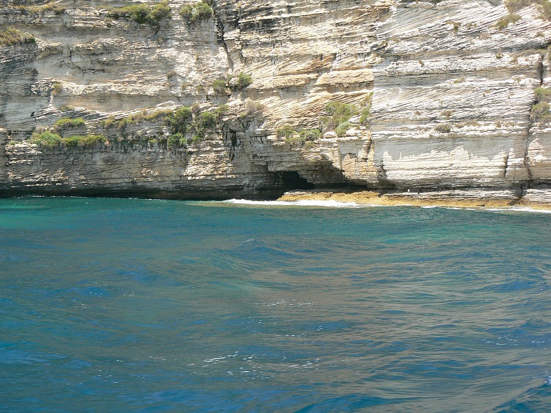 P1000376.jpg