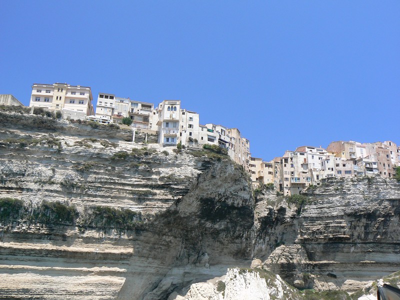 P1000382.jpg