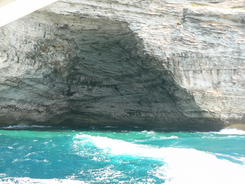 P1000389.jpg