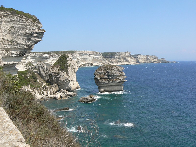 P1000400.jpg