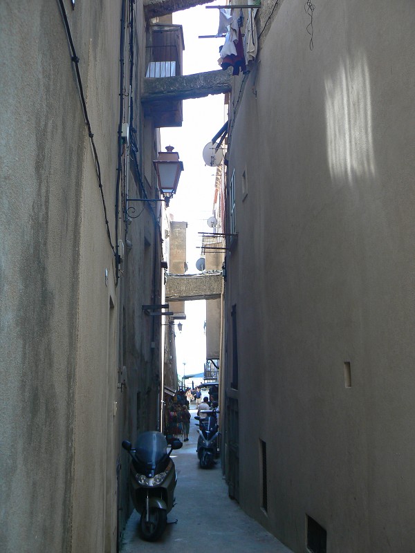 P1000402.jpg