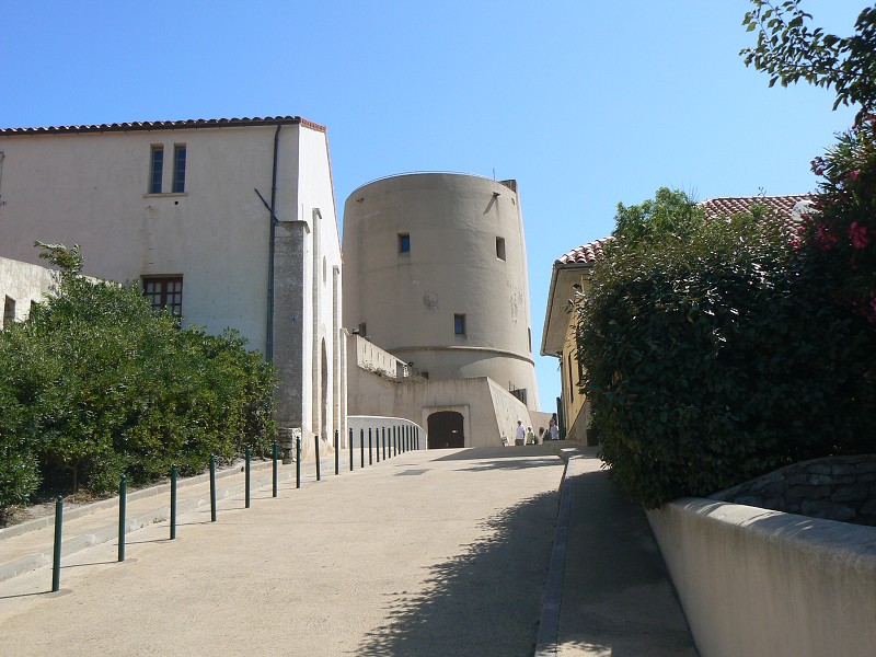 P1000417.jpg