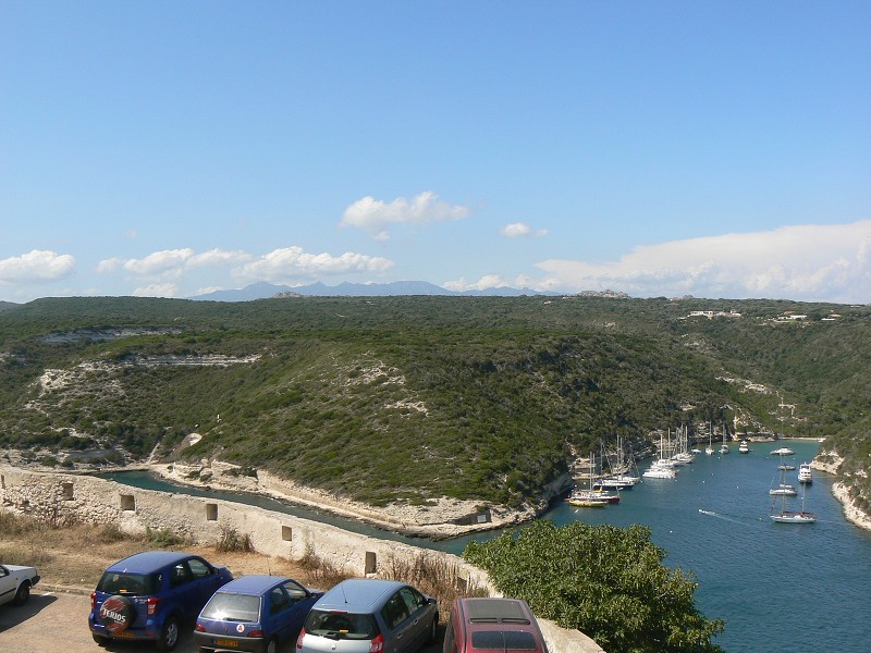 P1000420.jpg
