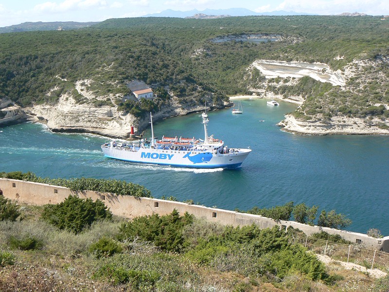 P1000424.jpg