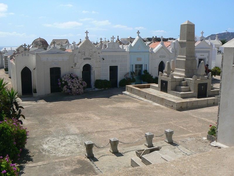 P1000427.jpg