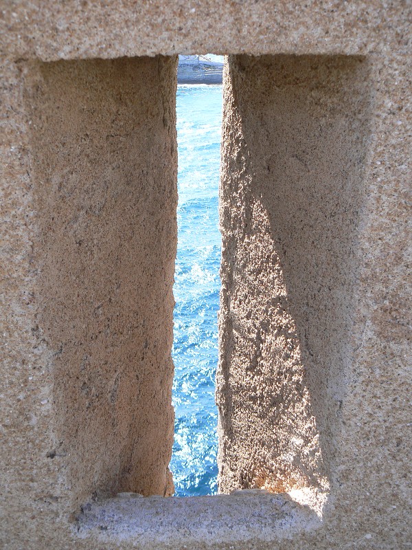 P1000430.jpg