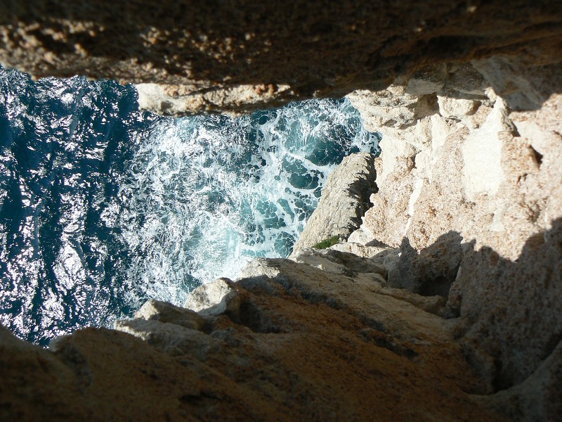 P1000431.jpg