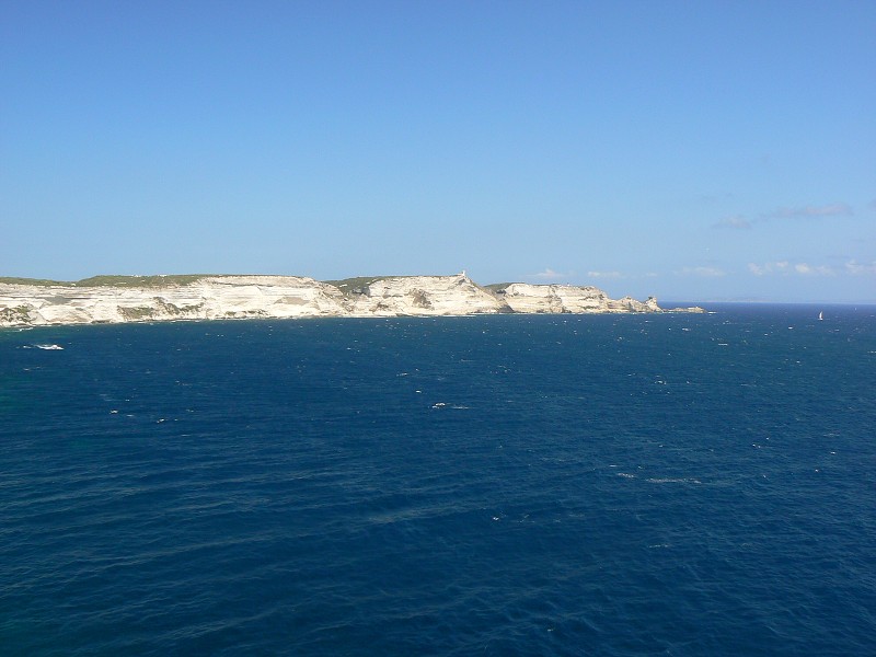 P1000435.jpg