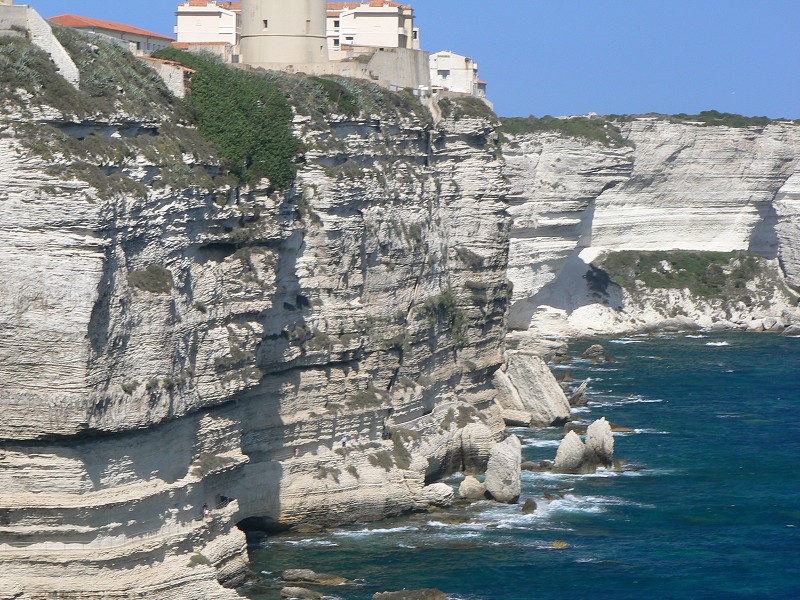 P1000436.jpg