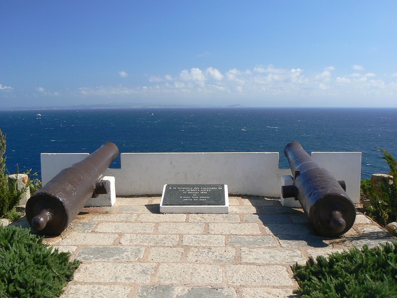P1000438.jpg