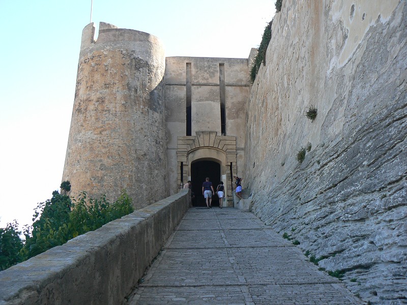 P1000443.jpg