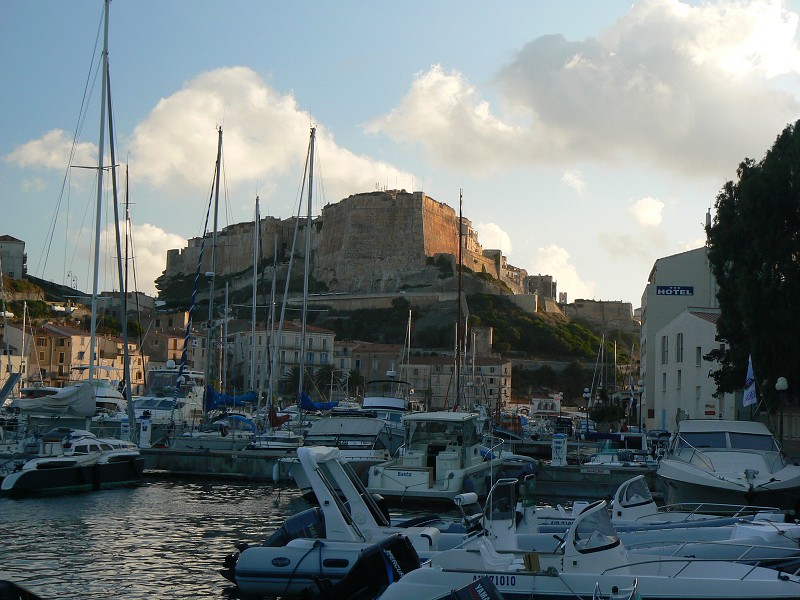 P1000445.jpg