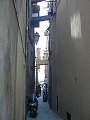 thn_P1000402.jpg