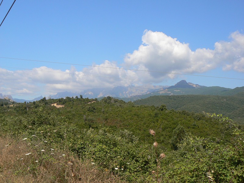 P1000454.jpg