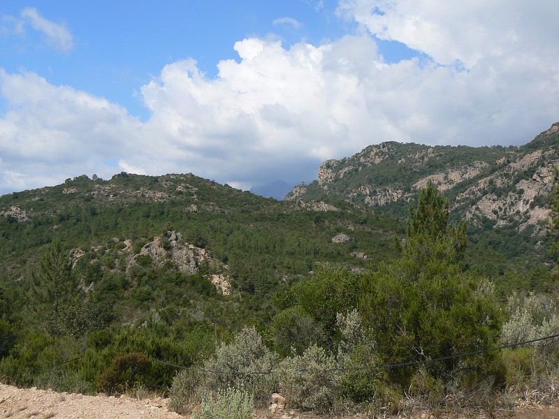 P1000456.jpg