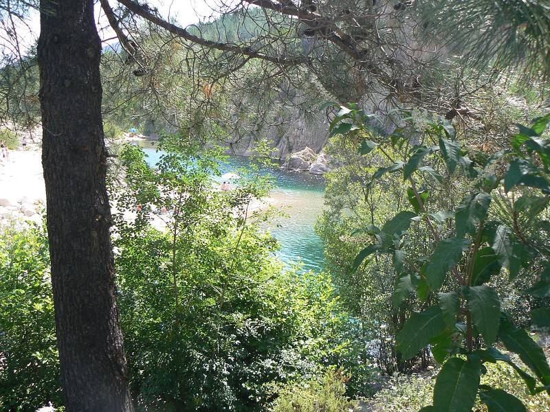 P1000457.jpg