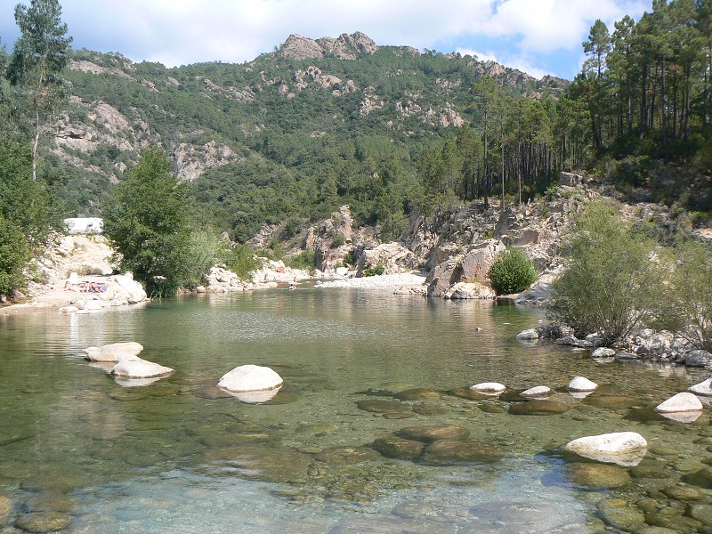 P1000460.jpg