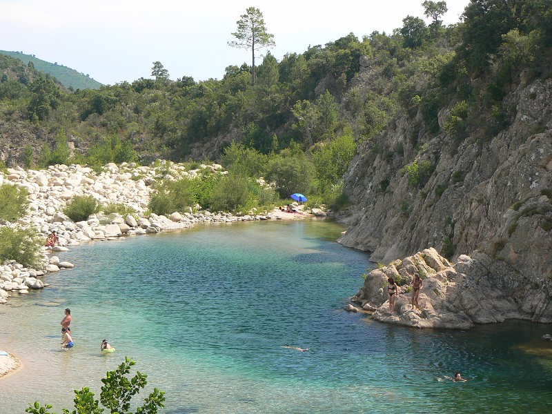 P1000463.jpg