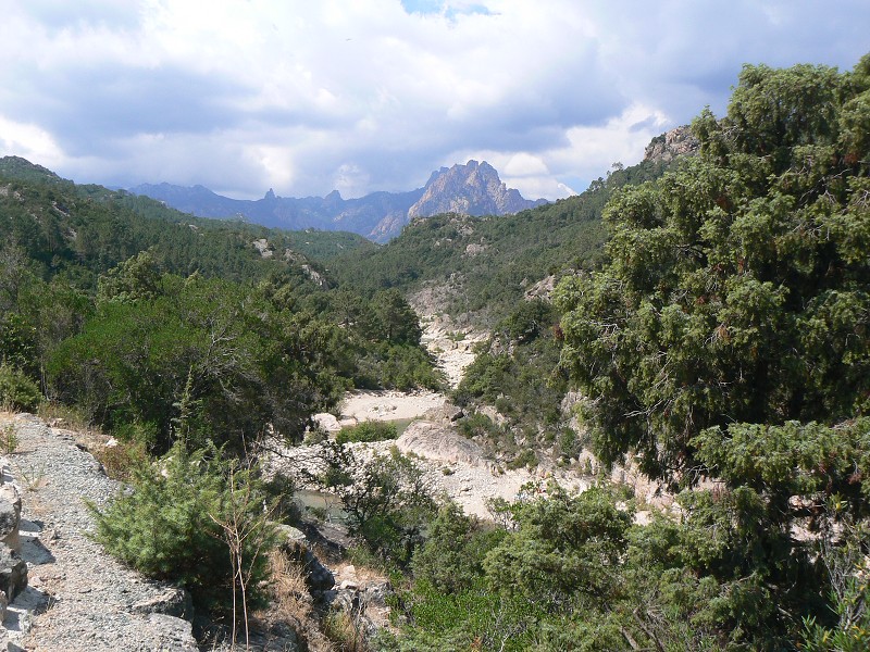 P1000465.jpg