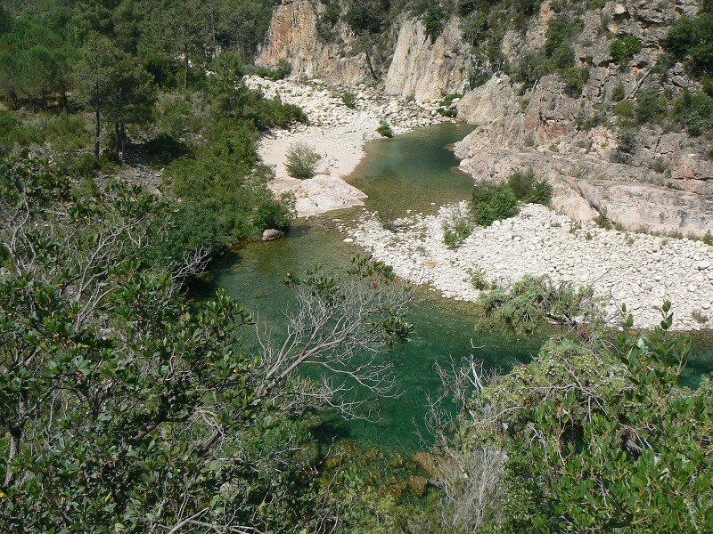 P1000467.jpg