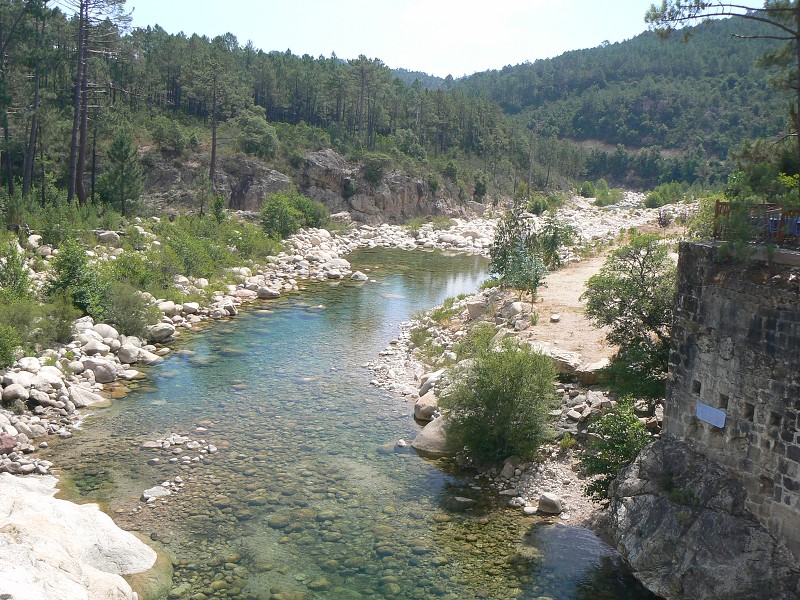 P1000468.jpg