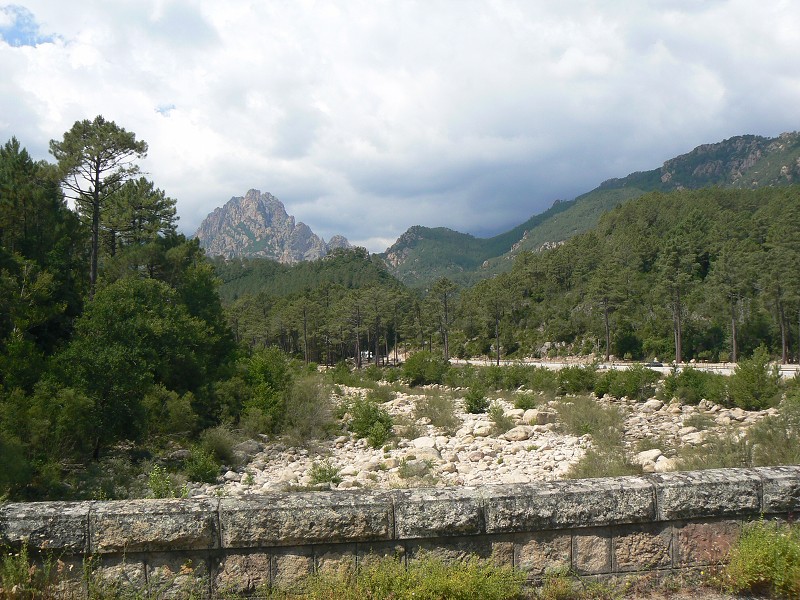 P1000469.jpg