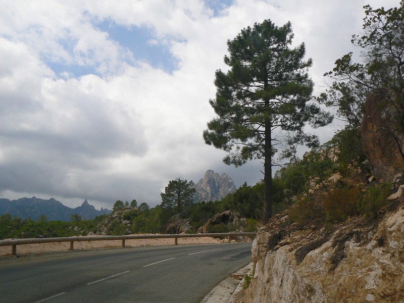 P1000474.jpg