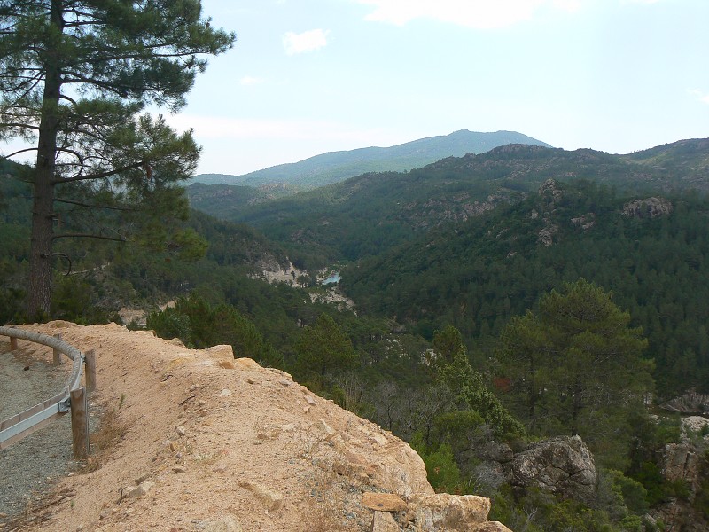 P1000476.jpg