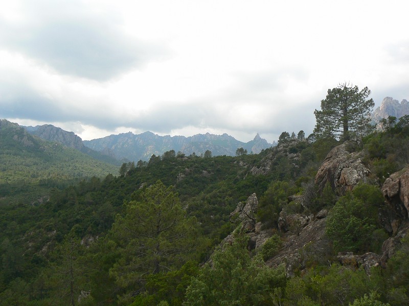 P1000478.jpg
