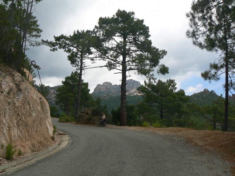 P1000480.jpg