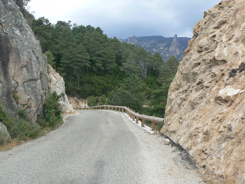 P1000483.jpg