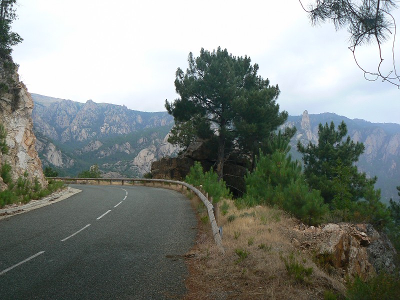 P1000486.jpg