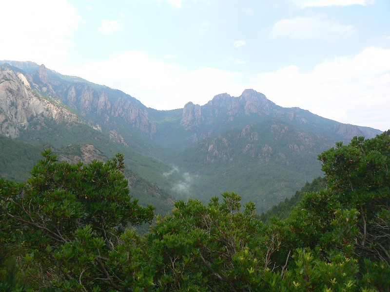 P1000487.jpg