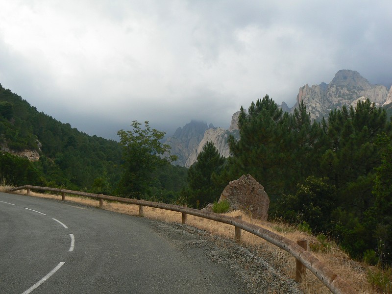 P1000488.jpg